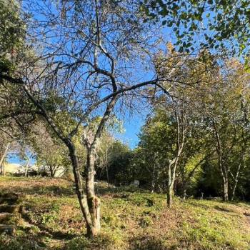 Продается Участок, 540 м²