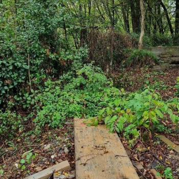 Продается Участок, 580 м²