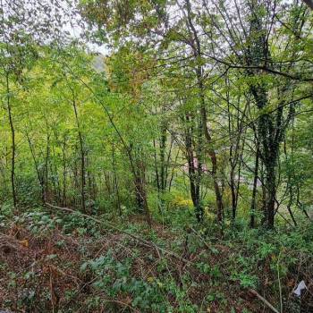 Продается Участок, 580 м²