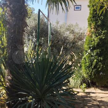 Сдается Дом, 42 м²