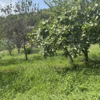 Продается Участок, 900 м²