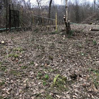 Продается Участок, 500 м²