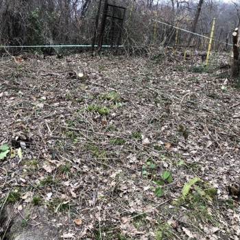 Продается Участок, 500 м²