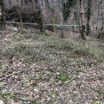 Продается Участок, 500 м²