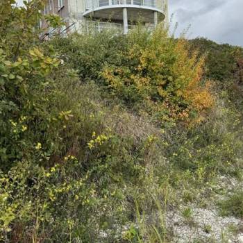 Продается Участок, 600 м²