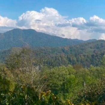 Продается Дом, 20 м²