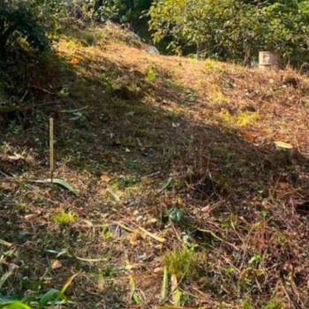 Продается Дом, 20 м²