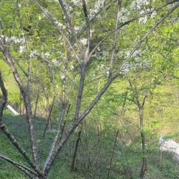 Продается Участок, 500 м²