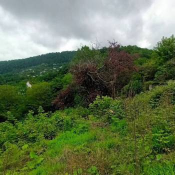 Продается Участок, 1000 м²