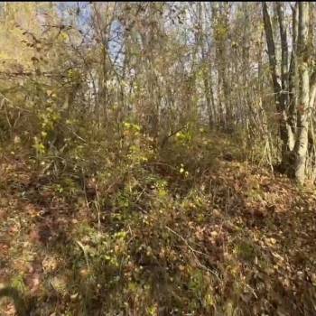 Продается Участок, 800 м²