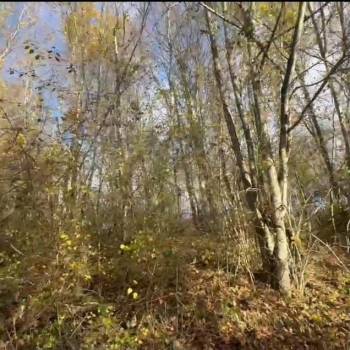 Продается Участок, 800 м²