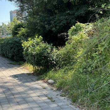 Продается Участок, 450 м²