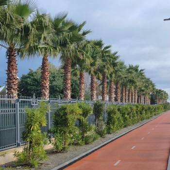 Сдается Комната, 12 м²