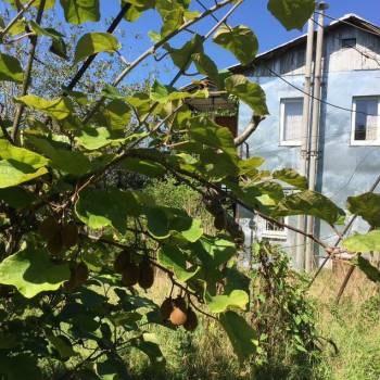 Продается Участок, 1000 м²