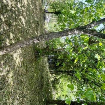 Продается Участок, 770 м²