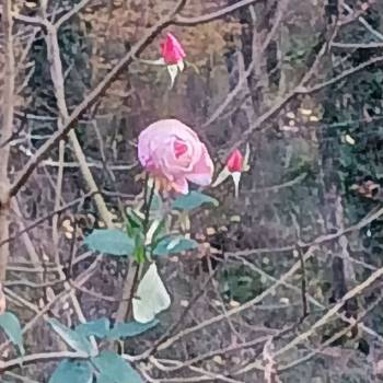 Продается Участок, 300 м²