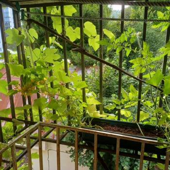 Сдается Дом, 40 м²