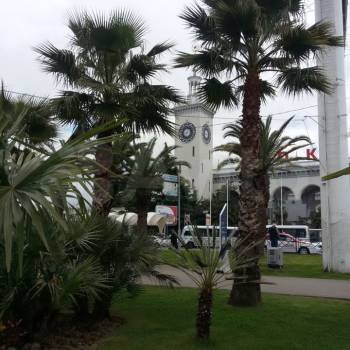 Сдается 1-комнатная квартира, 32 м²