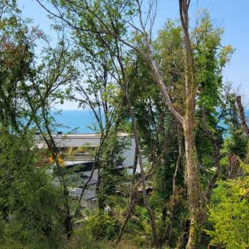 Сдается Дом, 350 м²