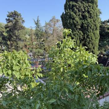 Продается 1-комнатная квартира, 29 м²