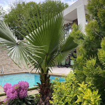 Сдается Дом, 310 м²