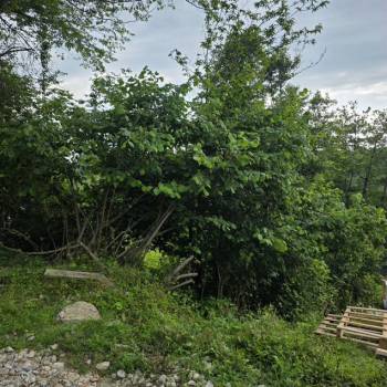 Продается Участок, 570 м²