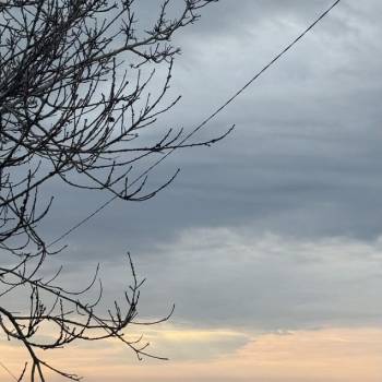 Продается Участок, 540 м²