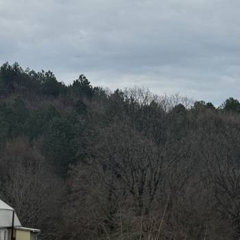 Продается Участок, 540 м²