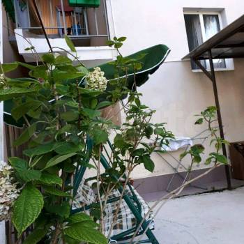 Сдается Комната, 14 м²