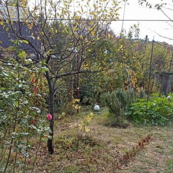 Продается Участок, 500 м²