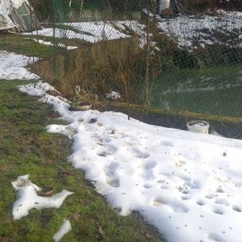 Продается Участок, 800 м²