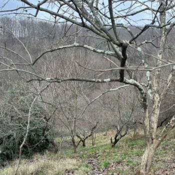 Продается Участок, 420 м²