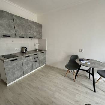 Сдается 1-комнатная квартира, 24,9 м²