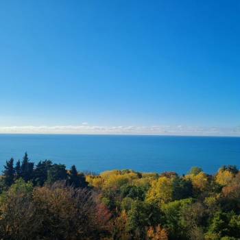 Сдается 1-комнатная квартира, 41,3 м²