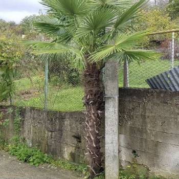 Продается Участок, 570 м²