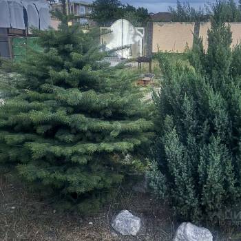 Сдается Дом, 80 м²