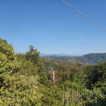 Продается Участок, 800 м²