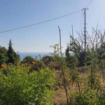 Продается Участок, 800 м²