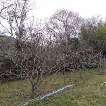 Продается Участок, 700 м²