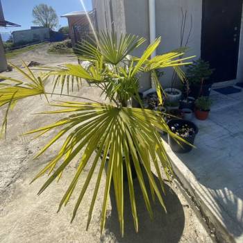 Продается 1-комнатная квартира, 17 м²