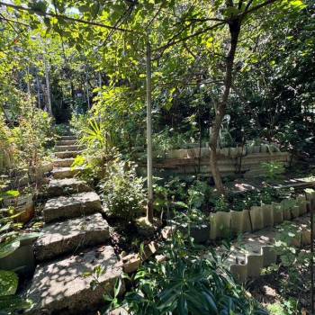 Продается Участок, 500 м²