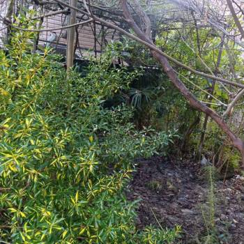 Продается Участок, 700 м²