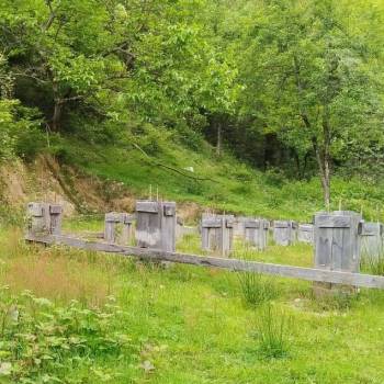 Продается Участок, 750 м²