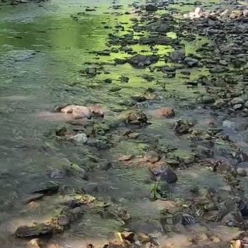 Продается Участок, 1350 м²