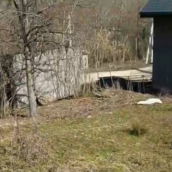 Продается Участок, 450 м²