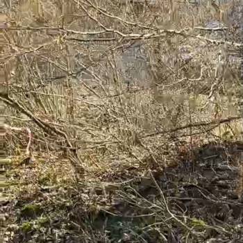 Продается Участок, 450 м²