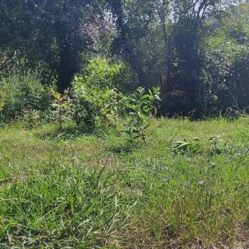 Продается Участок, 400 м²