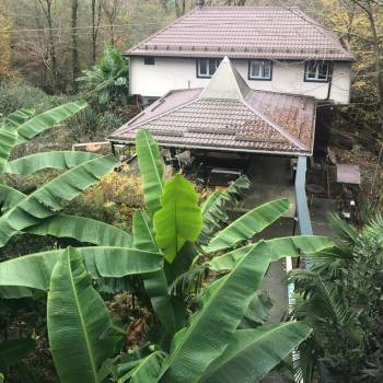 Сдается 2-х комнатная квартира, 36 м²