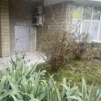 Сдается Нежилое помещение, 100 м²