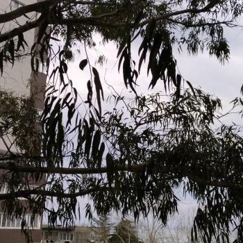 Продается 1-комнатная квартира, 15 м²